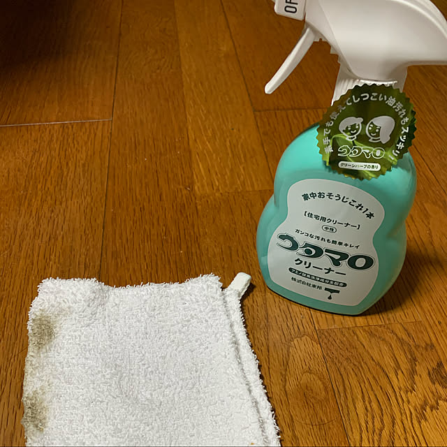 掃除用具・アイテム/リビングのインテリア実例 - 2020-10-13 08:40:36