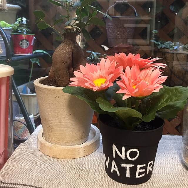 naoaonojoさんの実例写真