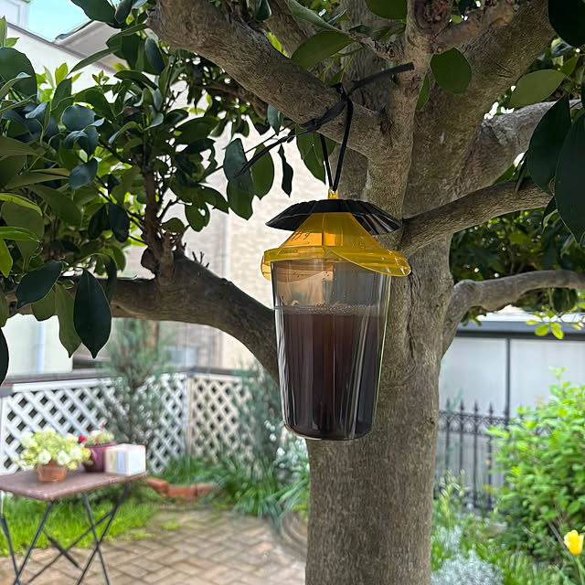 momocchiさんの部屋