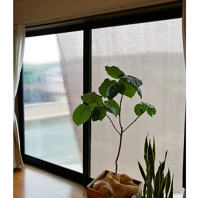 usarou_and_kamekoさんの実例写真