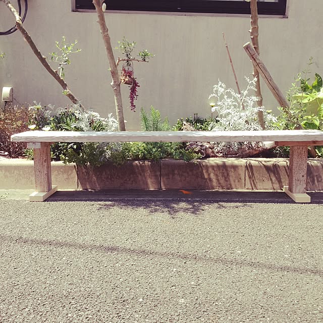 Masahitoさんの実例写真