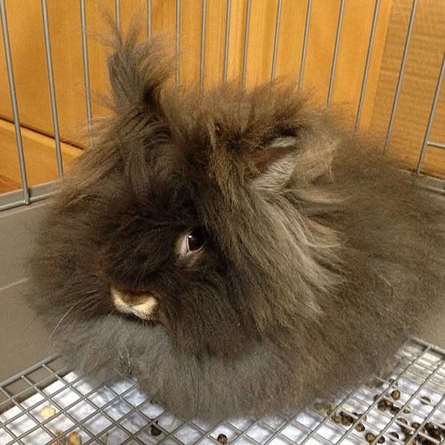 8717さんの実例写真