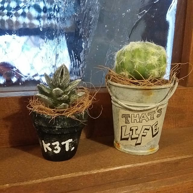mioさんの実例写真