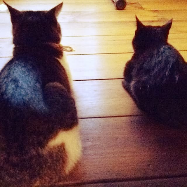 mocoさんの実例写真