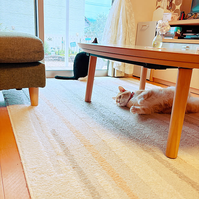 moolさんの部屋
