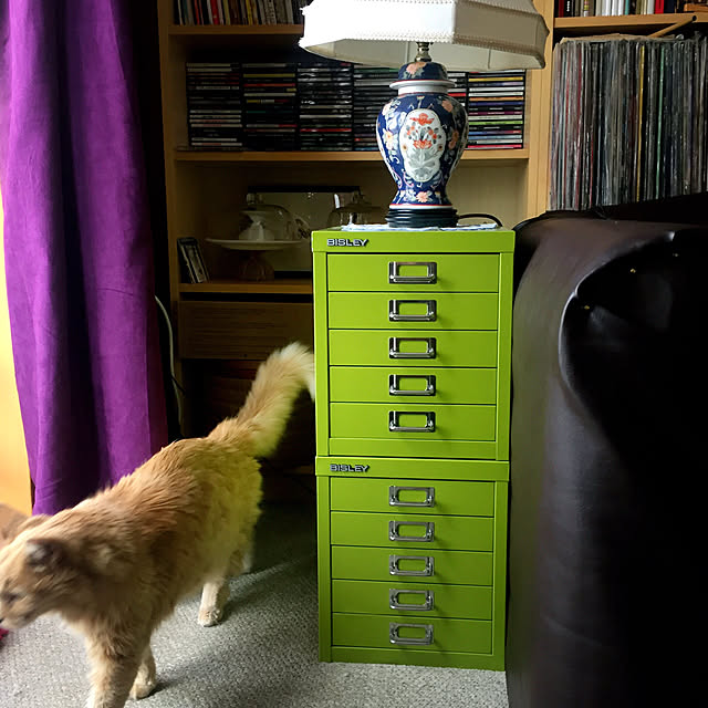 nekohigeさんの実例写真