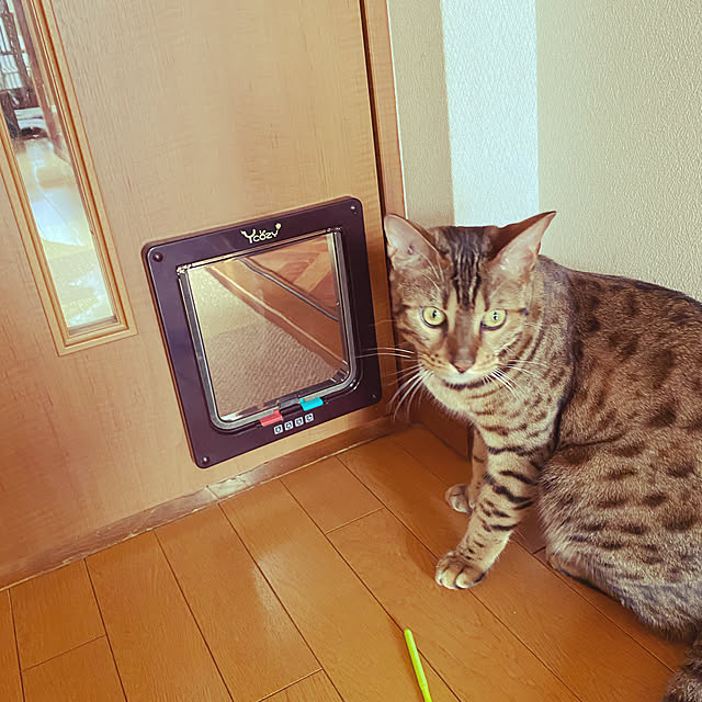 yuzuaoさんの実例写真