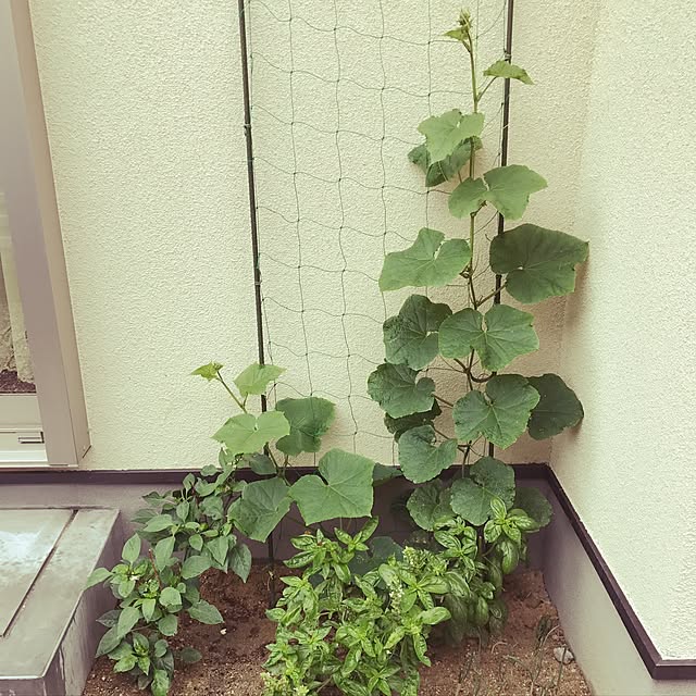 nanako7さんの実例写真