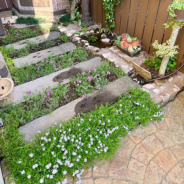 tabasaさんの部屋