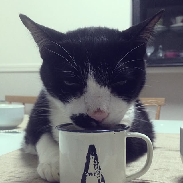 Tippiさんの実例写真