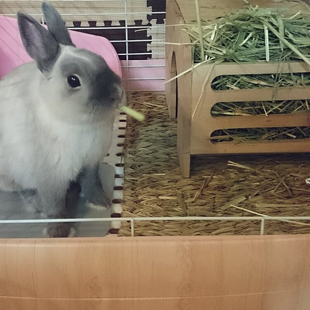 yummmi__さんの実例写真