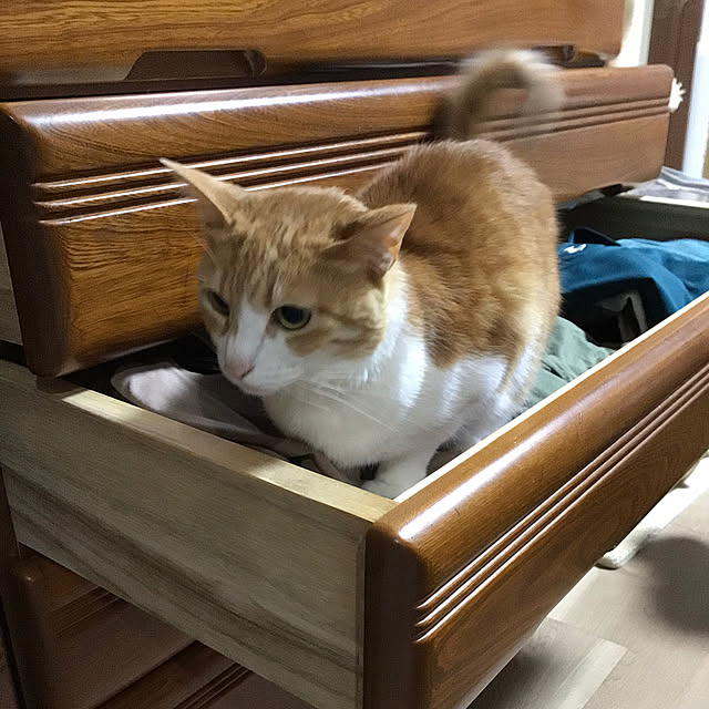 houenさんの部屋