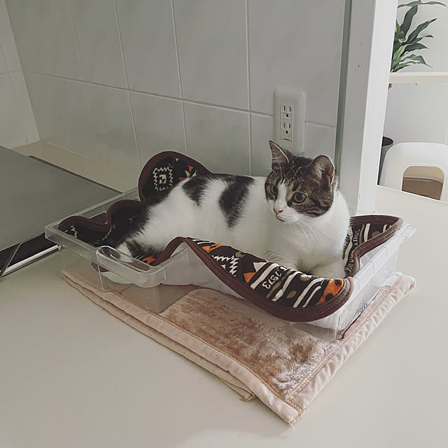 hemukoさんの実例写真
