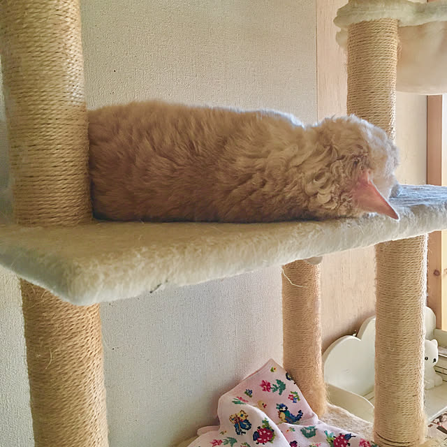 naokoさんの部屋