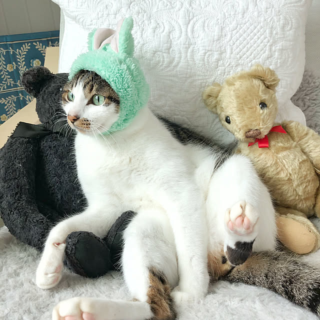 yuchiさんの実例写真