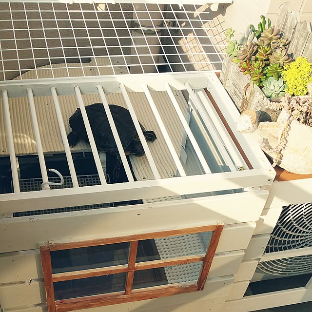 kuluchan.anchanさんの実例写真