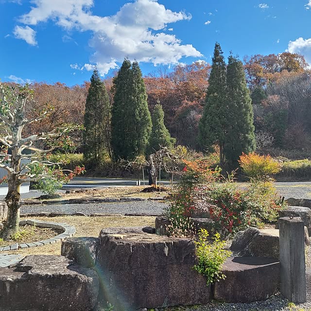 Rubiconさんの実例写真