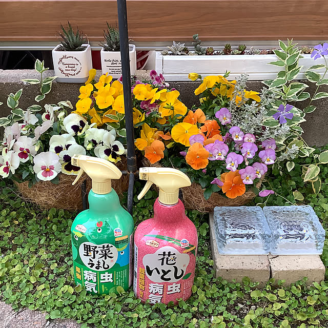 haruminさんの実例写真
