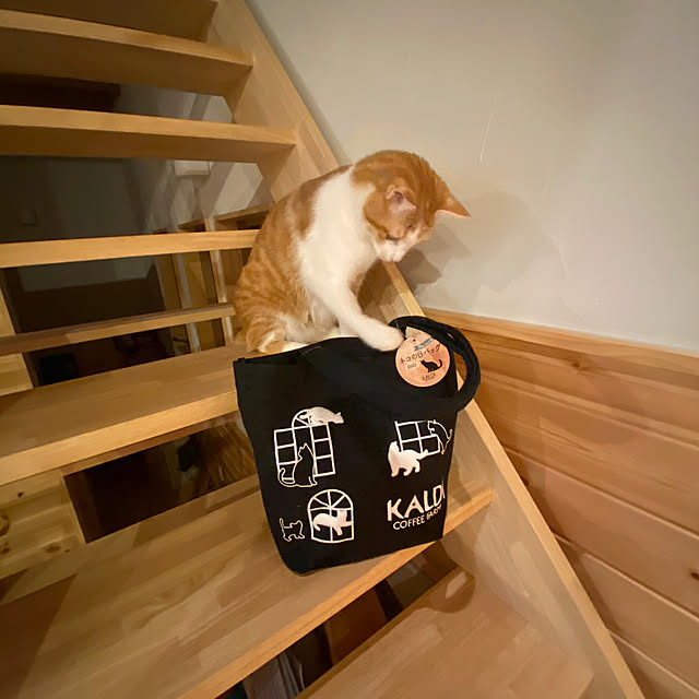 senbei.sakuramochiさんの実例写真