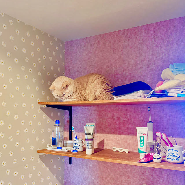 naokoさんの実例写真