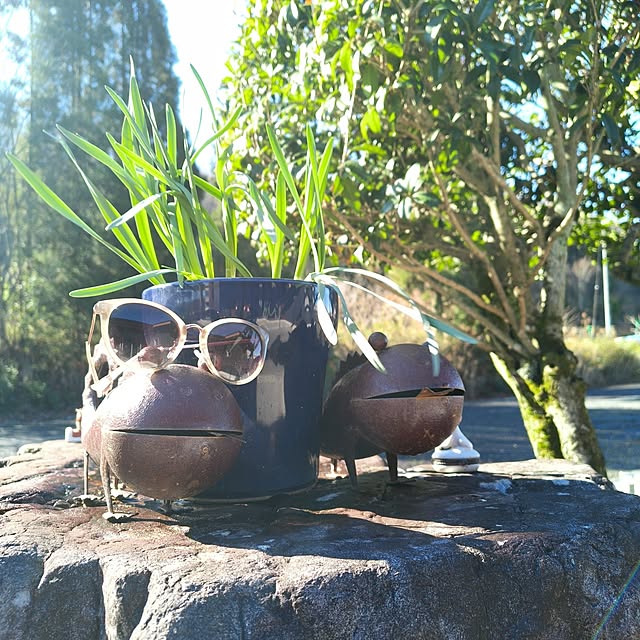 Rubiconさんの実例写真