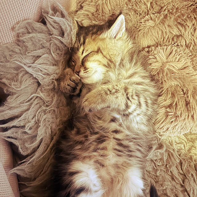Mさんの部屋