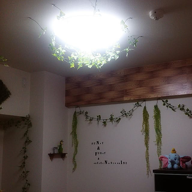 実例写真