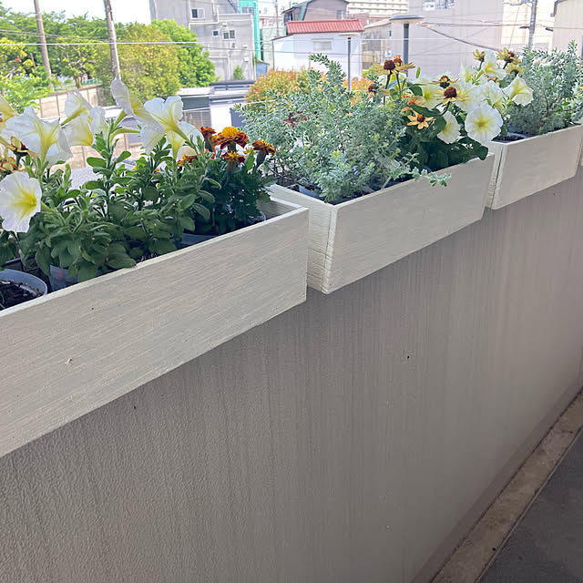 marukoさんの実例写真