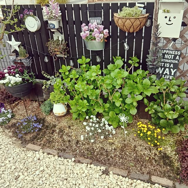 kaanaさんの実例写真