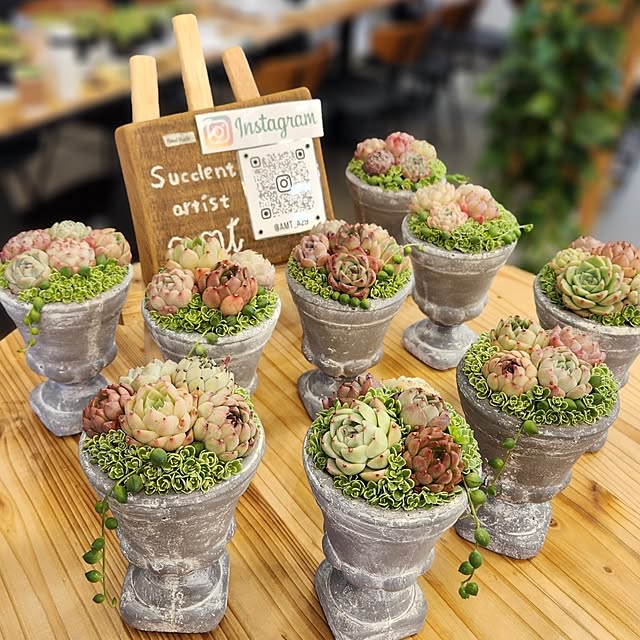 バス/トイレ/花瓶/植木鉢/セダムのインテリア実例 - 2024-04-29 03:52:07