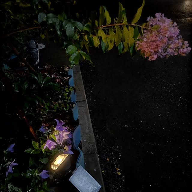 Maroさんの部屋