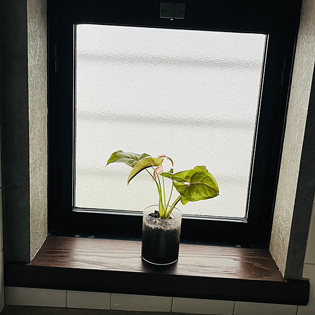 sakuraさんの部屋