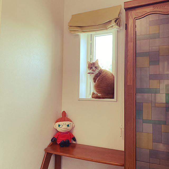 mkmkmoominさんの実例写真