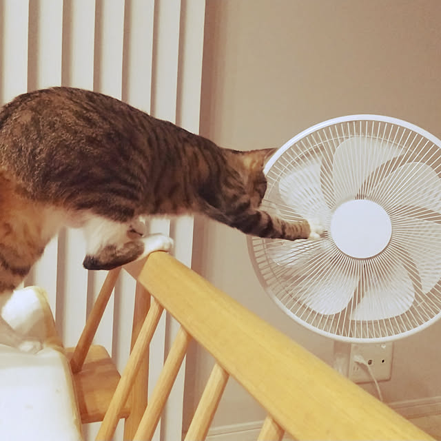 hanacocoさんの実例写真