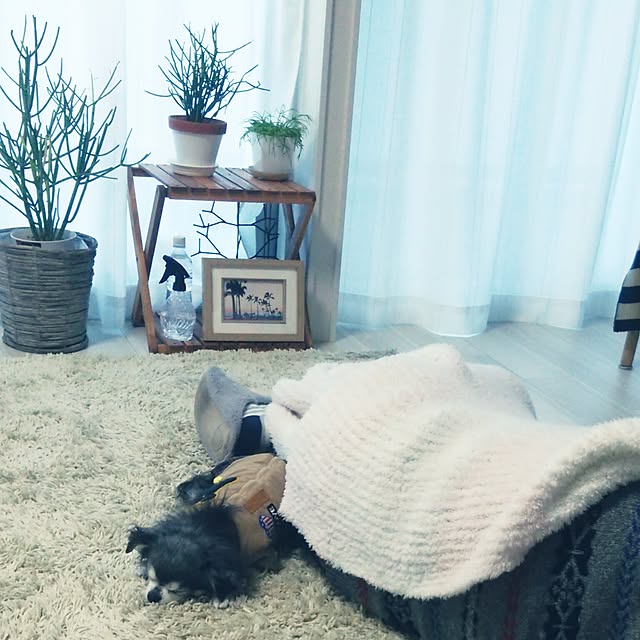 satominさんの実例写真