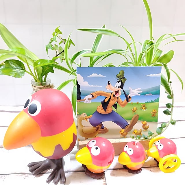 katさんの実例写真