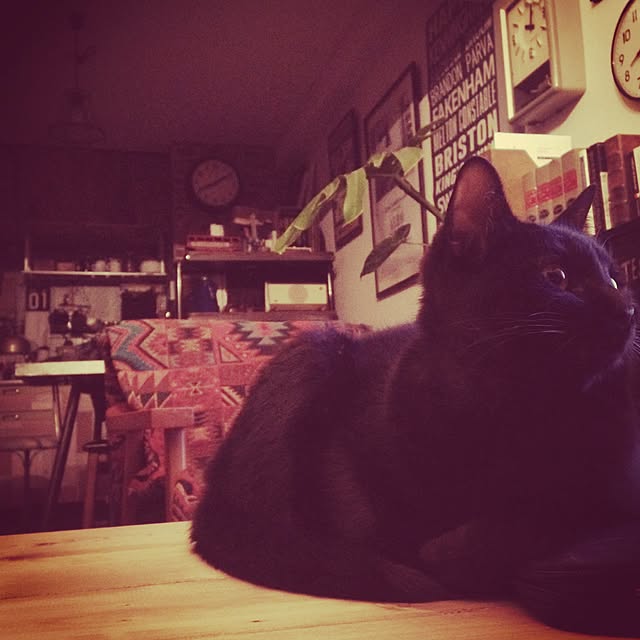 Naoki.さんの実例写真