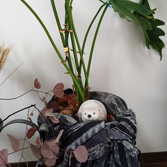 kakkaさんの部屋