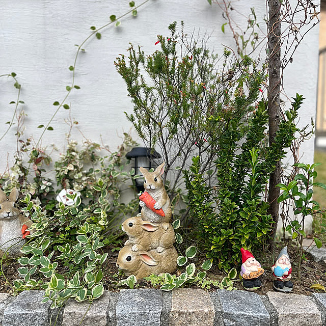 siosai10さんの実例写真