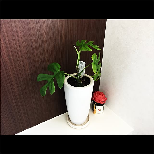 TOMOさんの実例写真