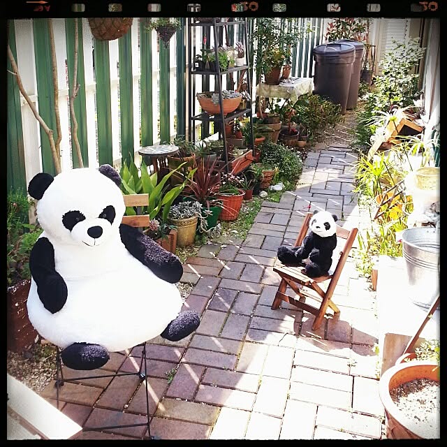 Ayakoさんの実例写真