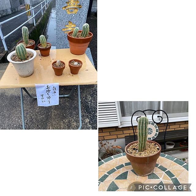 chIoeさんの実例写真