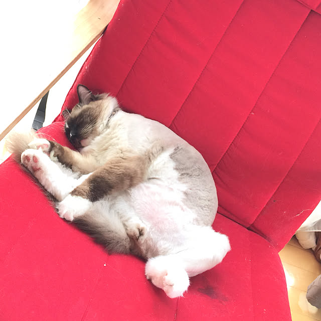 hmhmama0722さんの実例写真