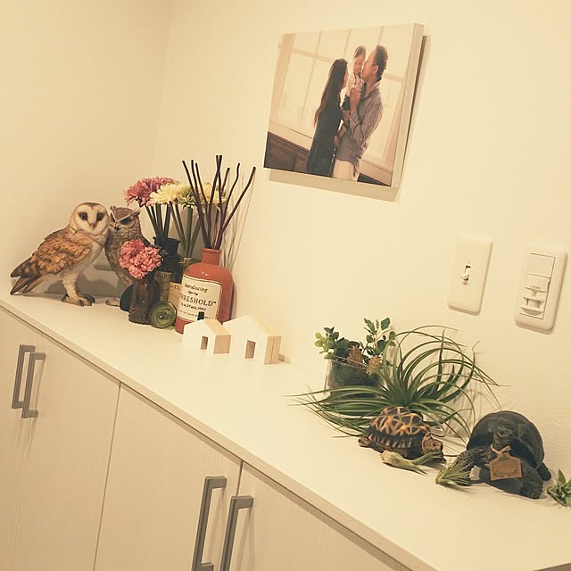 usakoさんの実例写真