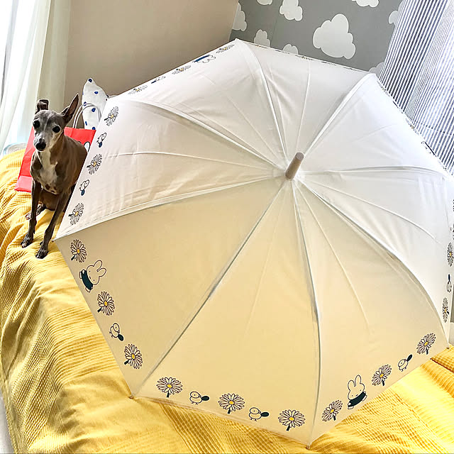suzyさんの実例写真