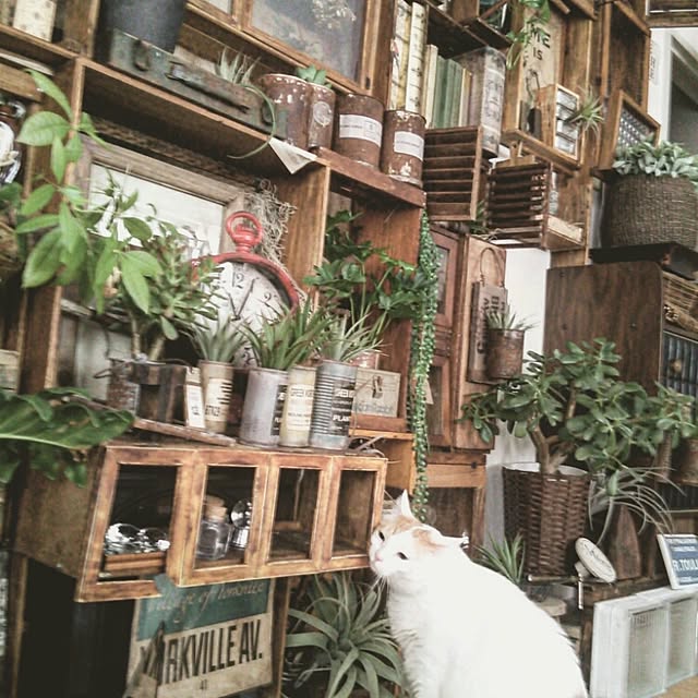 ugさんの実例写真