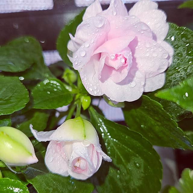 mocomocoさんの部屋