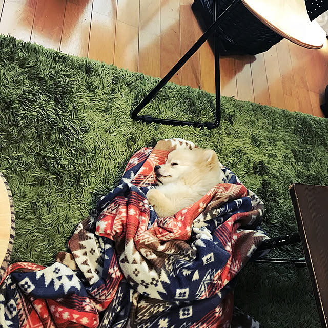 franさんの実例写真