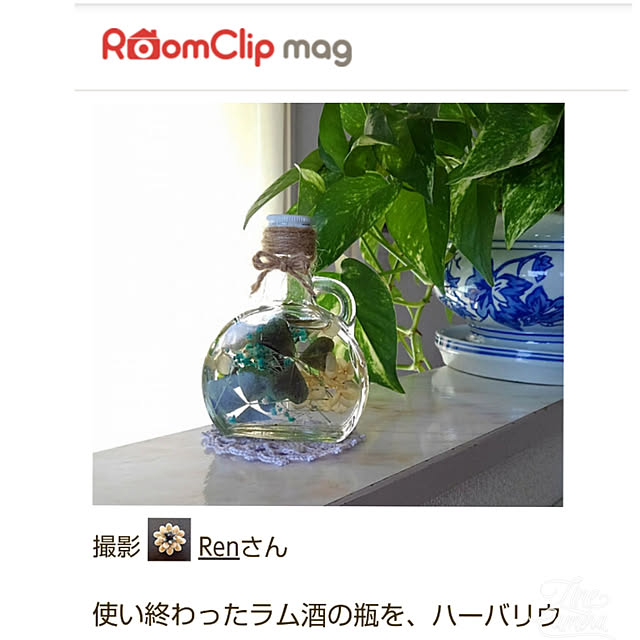 Renさんの実例写真