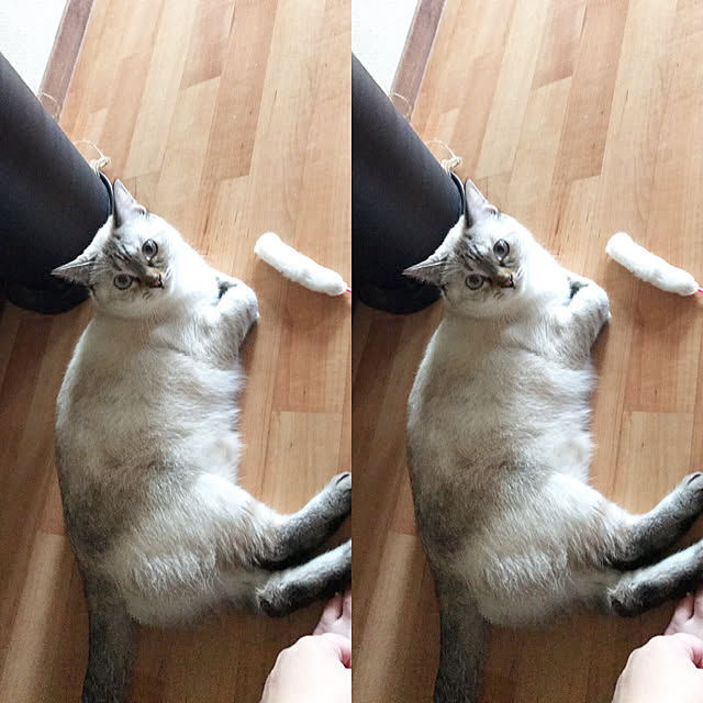 nachuさんの実例写真